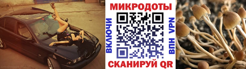 Псилоцибиновые грибы мухоморы нарко площадка состав Шумиха